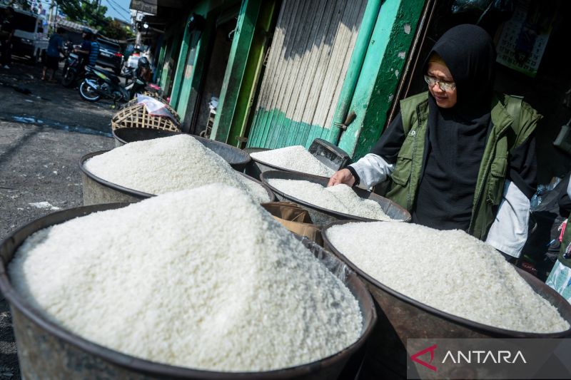 cegah-beras-turun-mutu-dan-momentum-perbaikan-tata-kelola-pangan