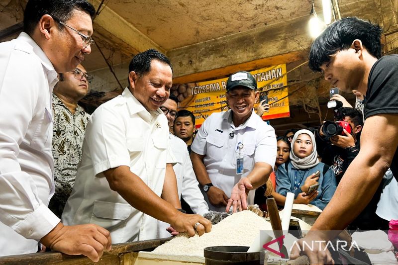 urgensi-perbaikan-tata-kelola-beras-di-indonesia