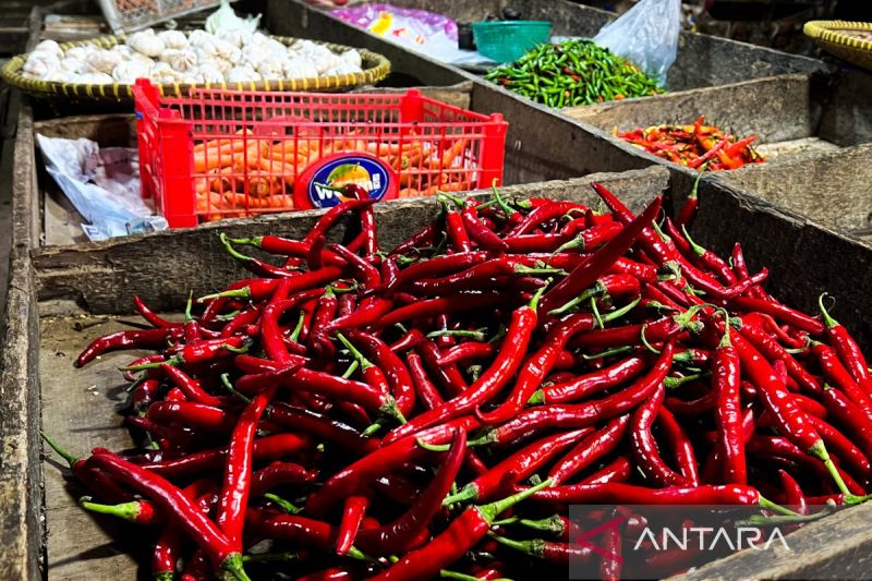 bapanas-harga-cabai-rawit-rp42548kg-bawang-merah-rp43973kg
