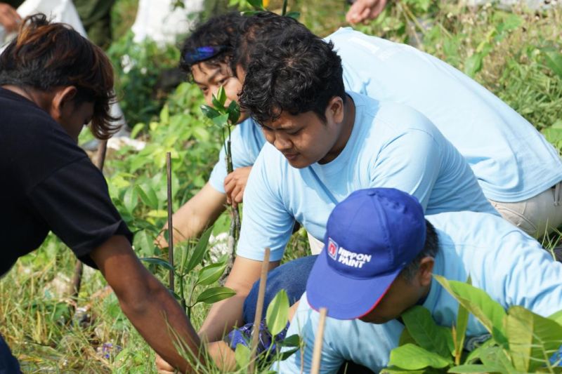 pelindo-tegaskan-komitmen-pulihkan-100-hektare-ekosistem-mangrove
