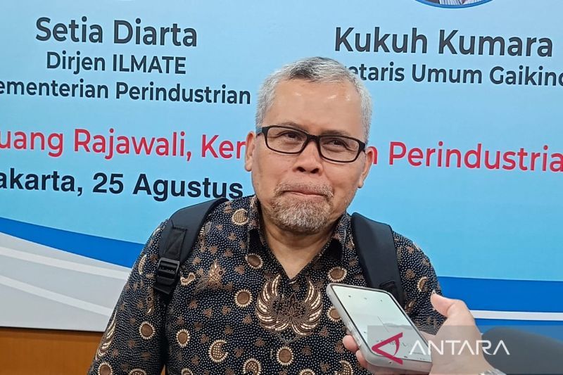 lpem-ui-dorong-insentif-berbasis-emisi-dan-tkdn-pacu-industri-otomotif