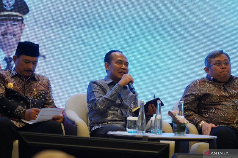 pemerintah-pengembangan-kek-bisa-atasi-kesenjangan-ekonomi-di-daerah