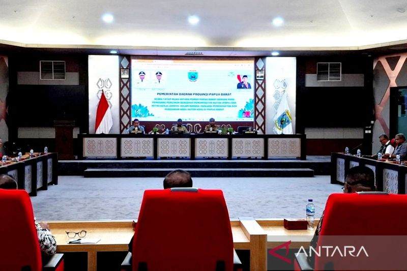 pemprov-papua-barat-rumuskan-strategi-hilirisasi-pengelolaan-kayu-log