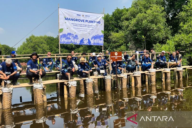 dpp-insa-tanam-5000-bibit-mangrove-dukung-pelestarian-lingkungan