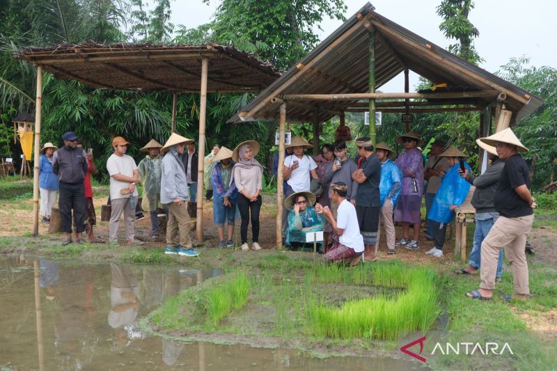 mengurai-beban-bali-menata-ulang-arah-pariwisata-melalui-dsp