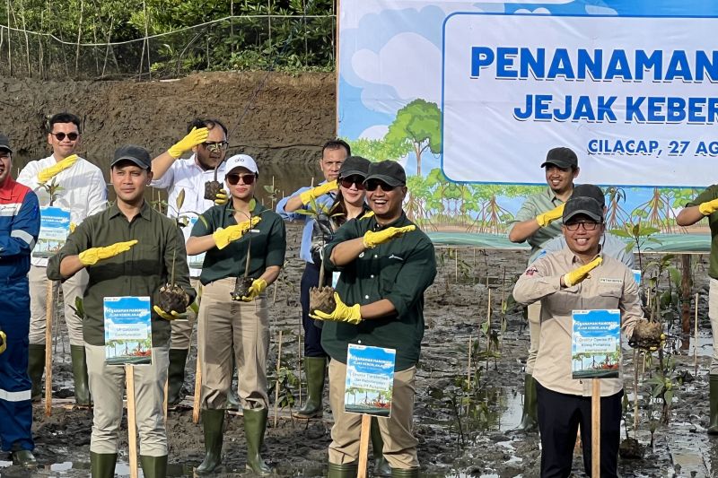 pertamina-tanam-800-mangrove-di-daerah-operasional-kilang-cilacap