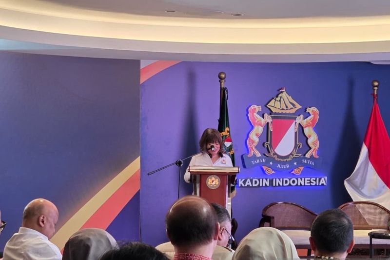 kadin-pastikan-dunia-usaha-dilibatkan-dalam-revisi-aturan-impor-baru