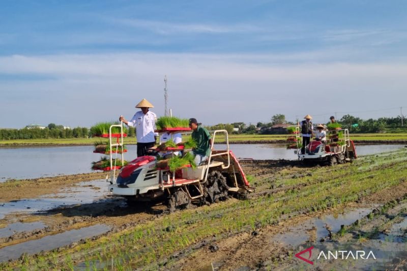 pemprov-jateng-optimistis-demak-bisa-jadi-lumbung-pangan-jateng