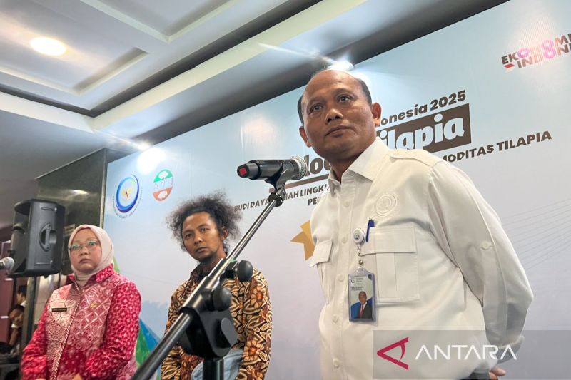 kkp-untuk-revitalisasi-tambak-pantura-ajukan-rp26-triliun-ke-danantara