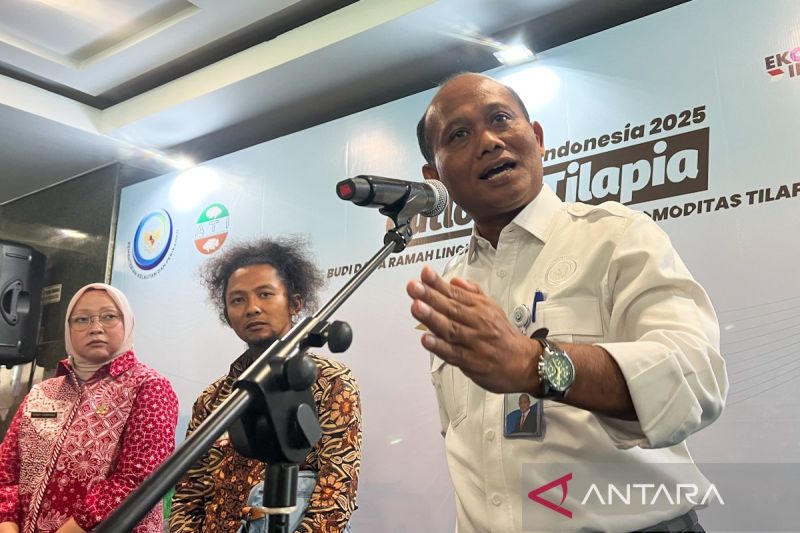 kkp-sebut-teknologi-budidaya-lobster-ri-mampu-bersaing-dengan-vietnam