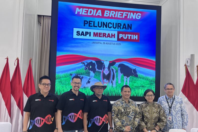 besok-bappenas-luncurkan-program-sapi-merah-putih