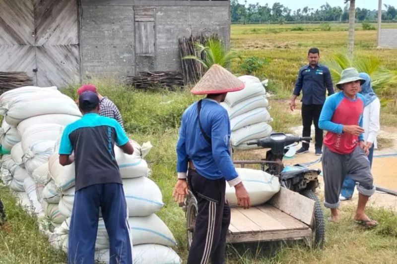 bps-catat-nilai-tukar-petani-naik-076-persen-pada-agustus-2025