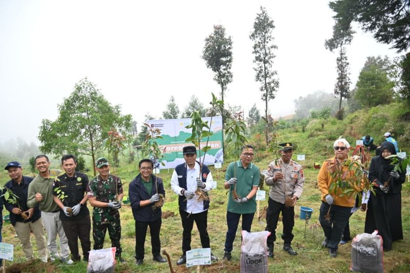 lestarikan-alam-pln-ip-gelar-program-konservasi-das-serayu-jateng