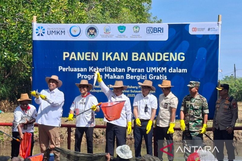 kementerian-umkm-perkuat-sektor-perikanan-dalam-ekosistem-mbg