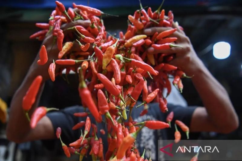 bapanas-harga-cabai-rawit-rp42487kg-bawang-merah-rp44452kg