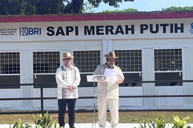 bappenas-lakukan-kerja-sama-perbaiki-genetik-sapi-perah-nasional