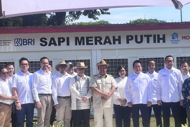 bappenas-sebut-program-sapi-merah-putih-tidak-gunakan-apbn