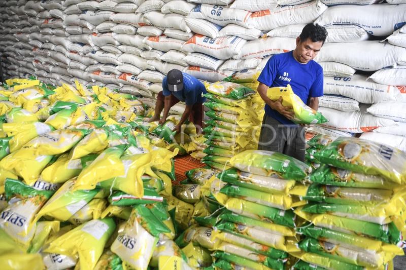 pengamat-beras-operasi-pasar-sphp-harus-dipastikan-berkualitas