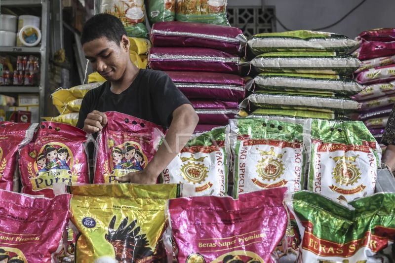 pengamat-pulihkan-kepercayaan-pelaku-usaha-beras-atasi-kelangkaan