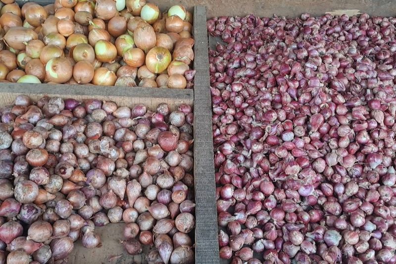 Inflasi Babel naik tipis, dipicu harga daging ayam dan bawang merah