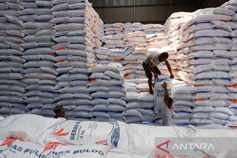 bps-catat-produksi-beras-juli-2025-capai-sebesar-277-juta-ton