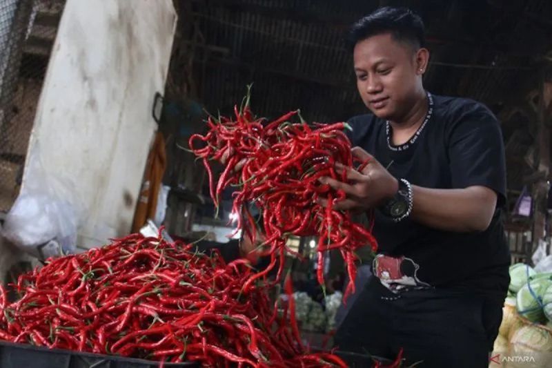 bapanas-harga-cabai-rawit-rp42542kg-bawang-merah-rp43202kg