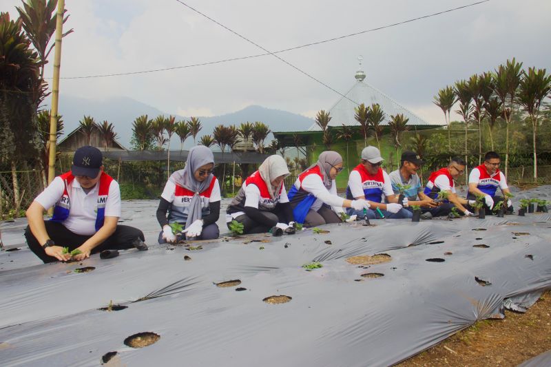 pertamina-nre-optimalkan-potensi-desa-melalui-desa-energi-berdikari