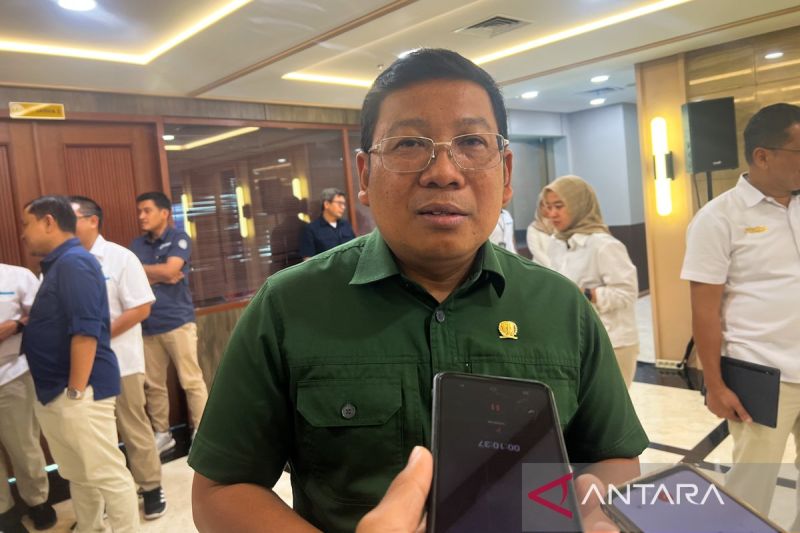 bapanas-harga-beras-sphp-tetap-lebih-murah-dari-het-beras-medium