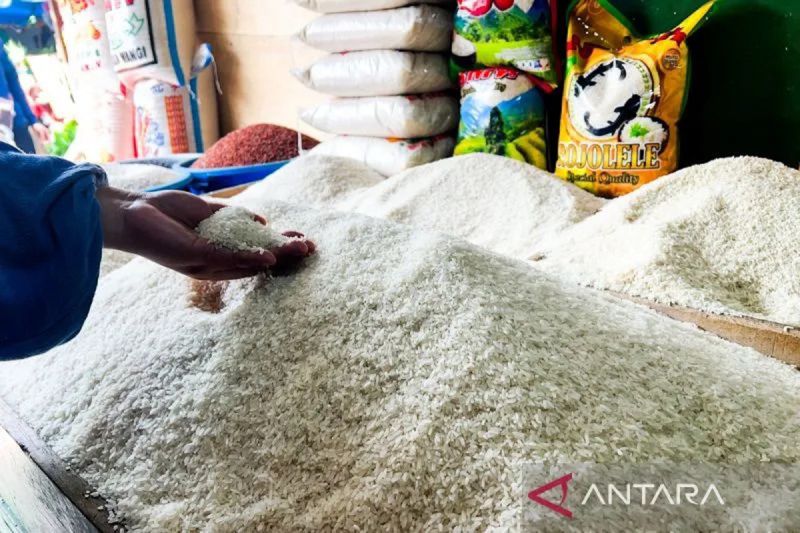 ylki-minta-semua-pihak-atasi-permasalahan-harga-stok-beras-di-pasaran