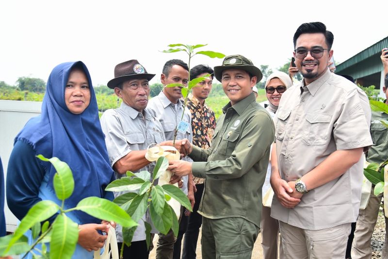 menhut-targetkan-17-juta-bibit-pohon-gratis-tersalur-hingga-akhir-2025