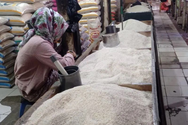 bapanas-beras-premium-turun-jadi-rp15996kg-medium-rp13737kg