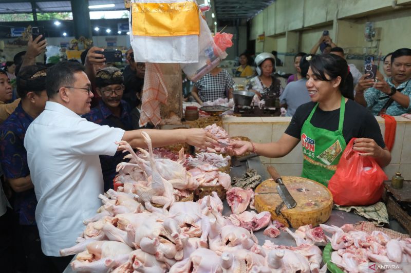 mendag-nilai-kenaikan-harga-ayam-di-bali-masih-masuk-batas-acuan