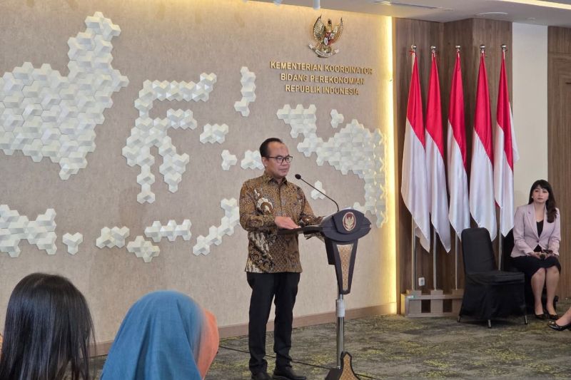 pemerintah-catat-investasi-kek-capai-rp4048-t-pada-semester-i-2025