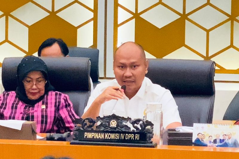komisi-iv-dpr-dorong-pengendalian-harga-inovasi-teknologi-pertanian