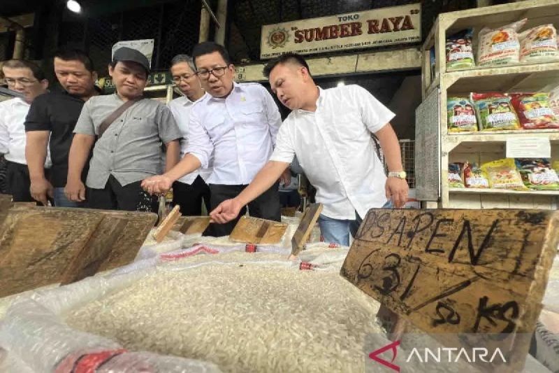 bapanas-harga-beras-premium-rp16088kg-medium-rp13741kg