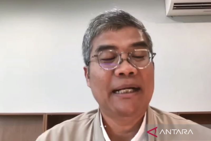 ekonom-ingatkan-kehati-hatian-dalam-penerapan-skema-burden-sharing