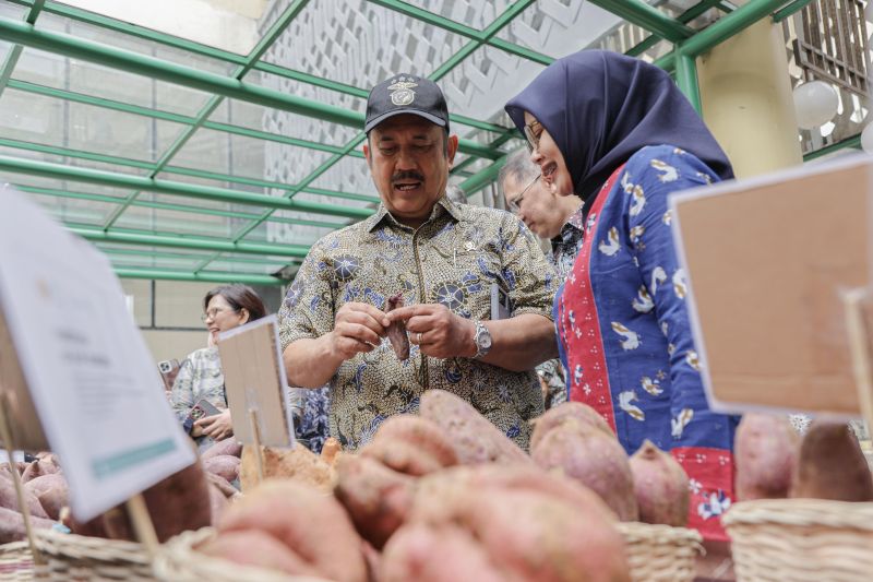 bappenas-ubi-jalar-layak-didorong-sebagai-komoditas-unggulan