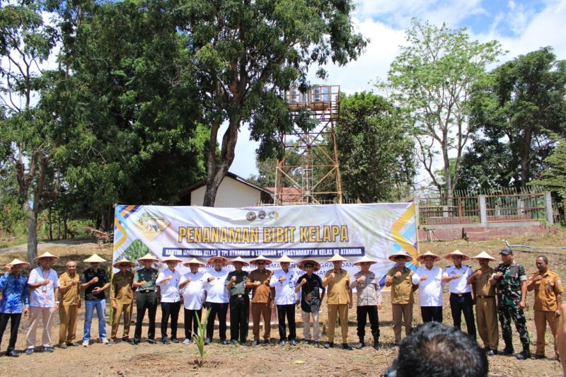imigrasi-atambua-tanam-500-pohon-kelapa-dukung-ketahanan-pangan