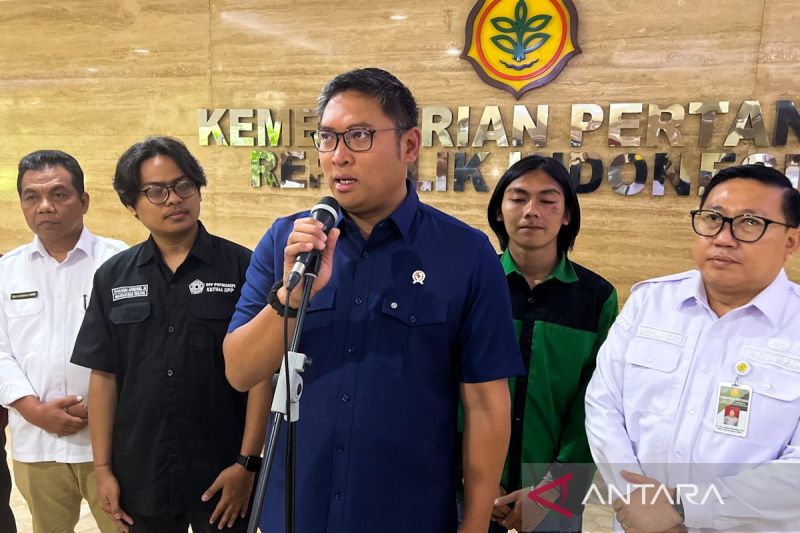 wamentan-luruskan-isu-impor-beras-hanya-khusus-restoran-tertentu