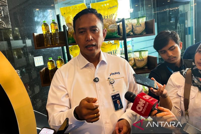 dirut-bulog-pastikan-stok-cadangan-beras-pemerintah-terjaga-baik