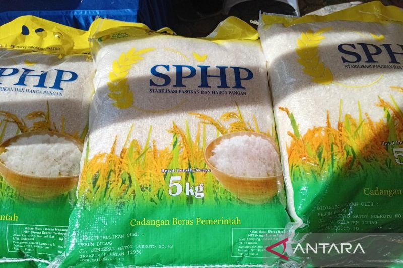 pengamat-mekanisme-penyaluran-operasi-pasar-beras-sphp-harus-diubah