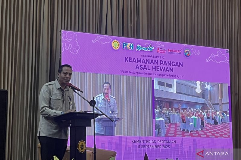 surplus-produksi-kementan-pastikan-ketersediaan-daging-ayam-terjaga