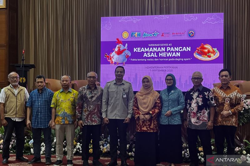kementan-nilai-pemerataan-distribusi-daging-ayam-perlu-ditingkatkan