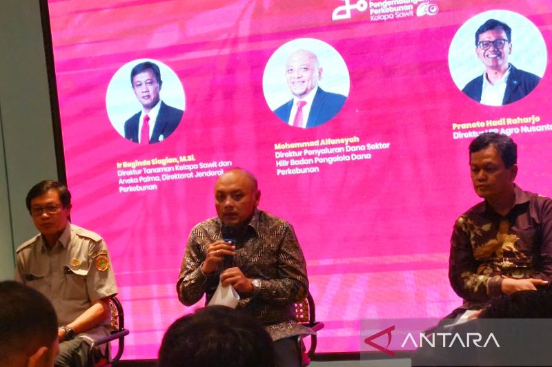 pemerintah-pacu-kompetensi-sdm-sawit-untuk-penuhi-kebutuhan-industri