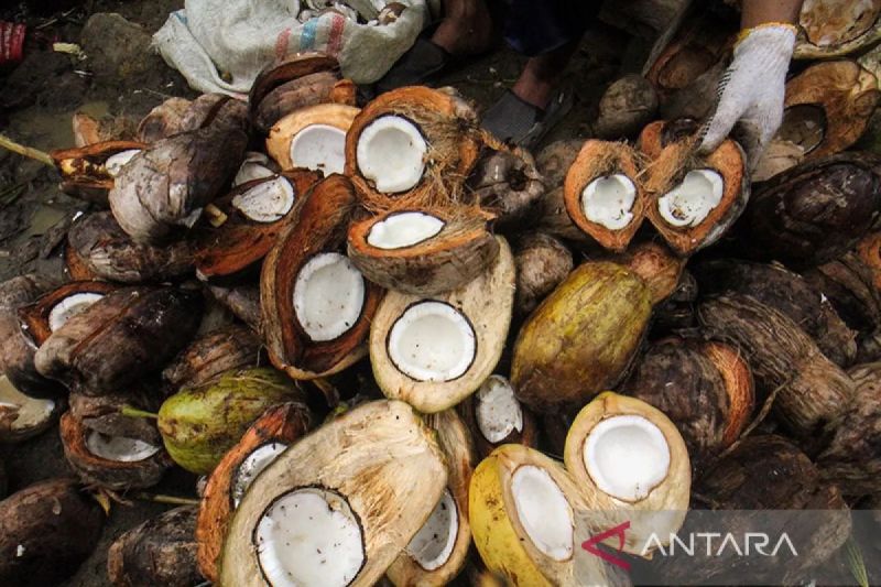 kementan-perkuat-hilirisasi-perkebunan-demi-sejahterakan-petani