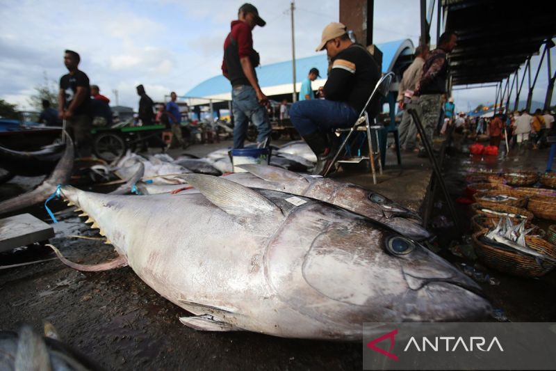 saatnya-membuka-potensi-laut-untuk-ekonomi-indonesia