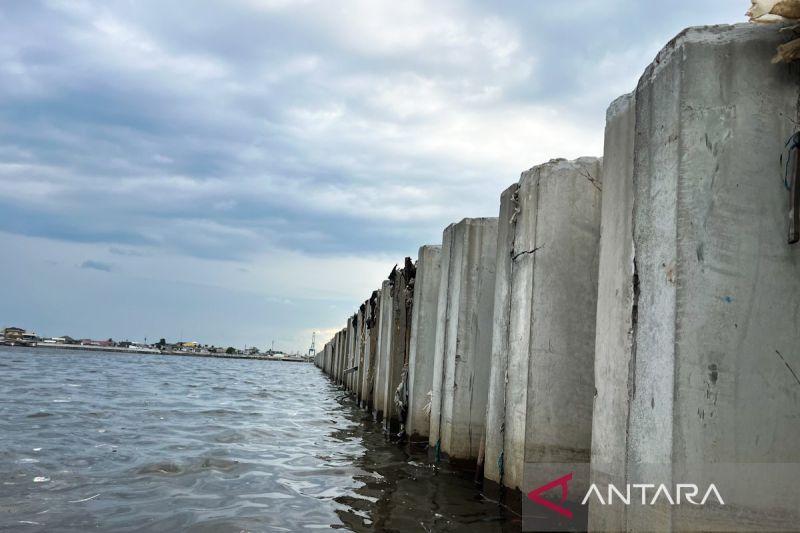 kkp-pastikan-tanggul-beton-kcn-di-cilincing-bukan-giant-sea-wall