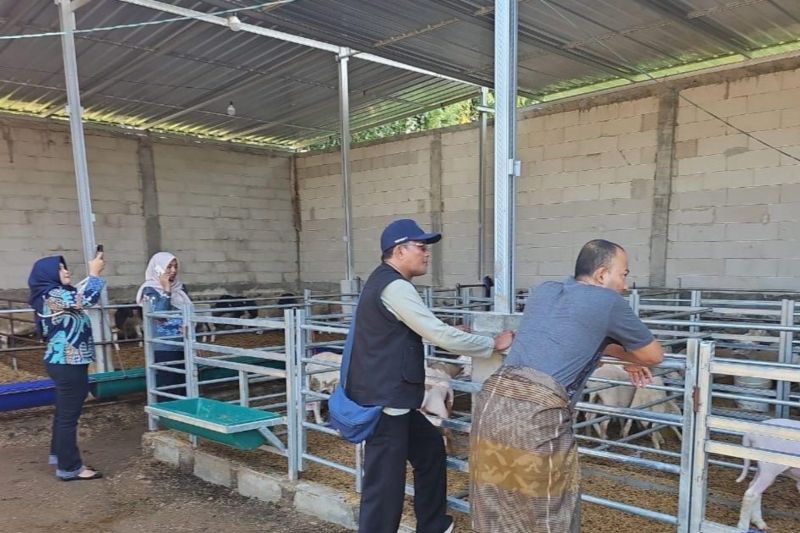 pemkab-probolinggo-fasilitasi-pengawasan-hewan-impor-dari-australia