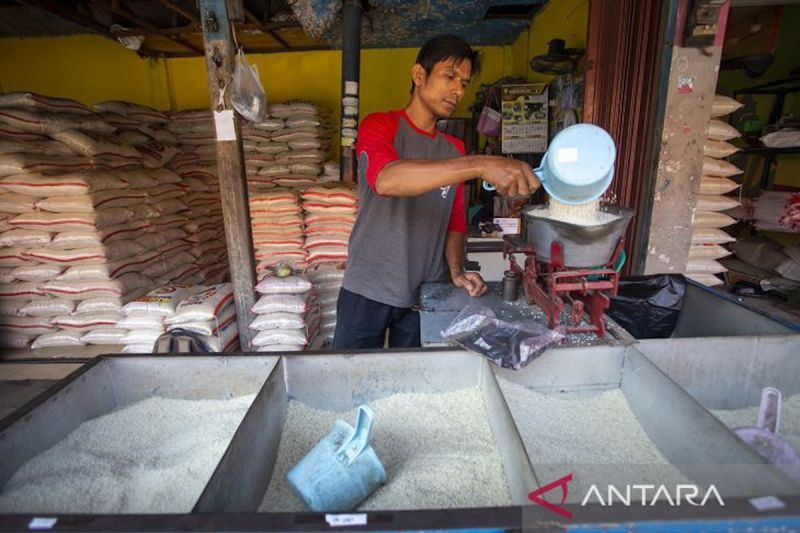 bapanas-harga-beras-medium-turun-jadi-rp13717kg-gula-rp18050kg