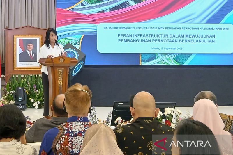 wamen-pu-pemerintah-anggarkan-perbaikan-jalan-inpres-rp9-triliun